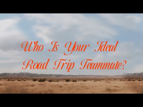 Ideal Road Trip Passenger | Phoenix Suns