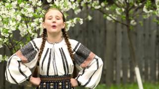 Orleanu Cornelia  Bate Vantu De La Munte