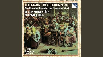 Telemann: Concerto for Recorder and Flute in E Minor, TWV 52:e1: II. Allegro