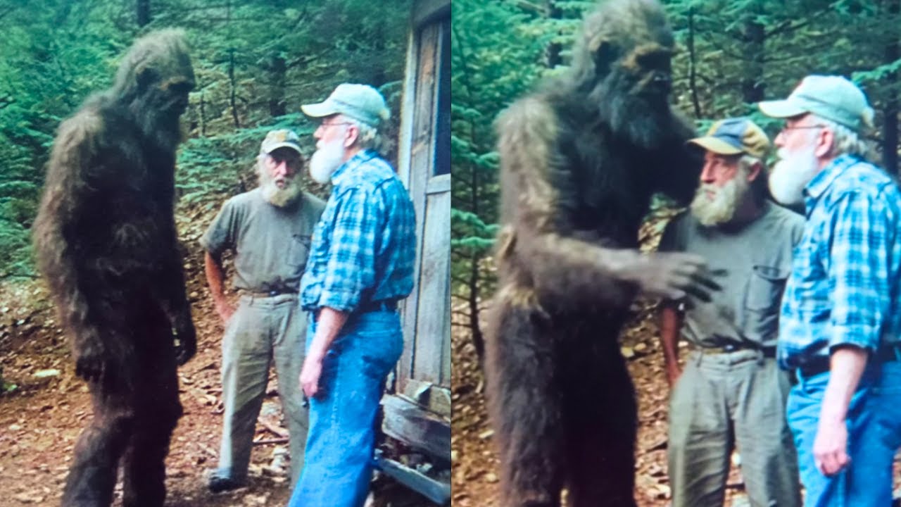 The Secret Two Brothers Found After 20 Years Sheltering Bigfoot Will  Terrify You – Sasquatch Story