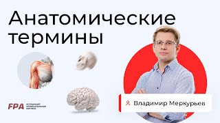 Анатомические термины | Владимир Меркурьев (FPA)