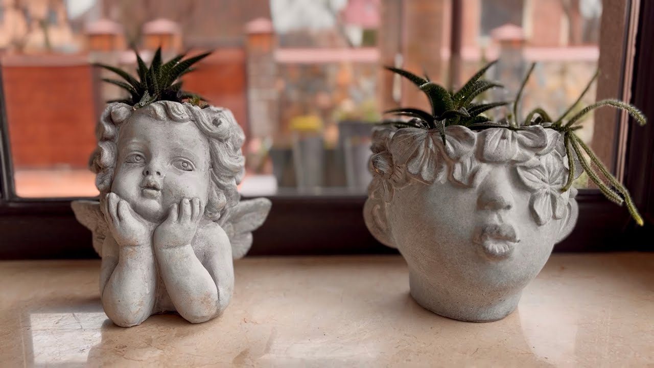 ПОКА НЕТ СВЕТА, МОЮ ОКНА И ПЕРЕСАЖИВАЮ СУККУЛЕНТЫ! ЭТО УВЛЕКАТЕЛЬНО!