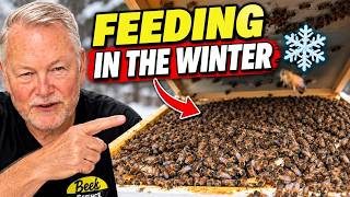 Beekeeping: How I Keep My Bees Fed All Winter