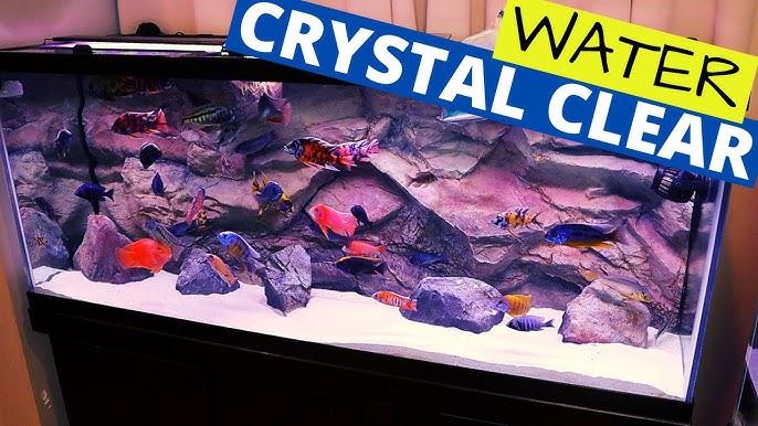 How to get CRYSTAL CLEAR AQUARIUM WATER (Poly-fil) 