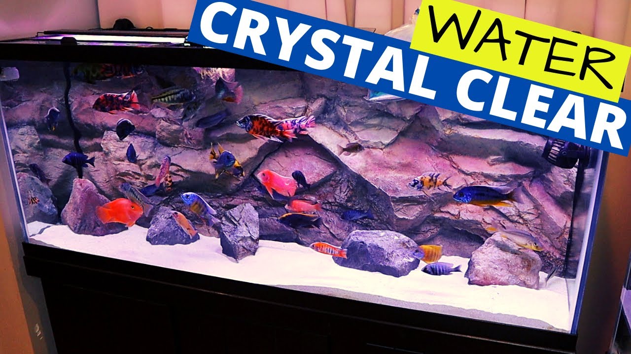 Crystal Clear Aquarium Water - Get It and Keep It (Simple) 