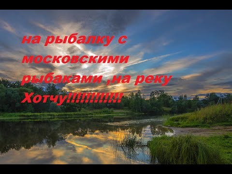 озеро кузнецовское талдомского района рыбалка озеро кузнецовское талдомского района рыбалка