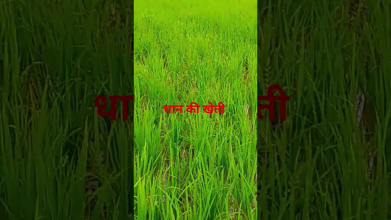 #entertainment #dance #youtubeshorts #motivation