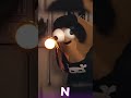 Não‼️😡 | JOGO: Bou's Revenge #melhoresmomentos #lives #clipes #jogos