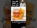 ج١٥ حكم أكل يرقات ذباب النحل تفقه وسل في أحكام عسل النحل 