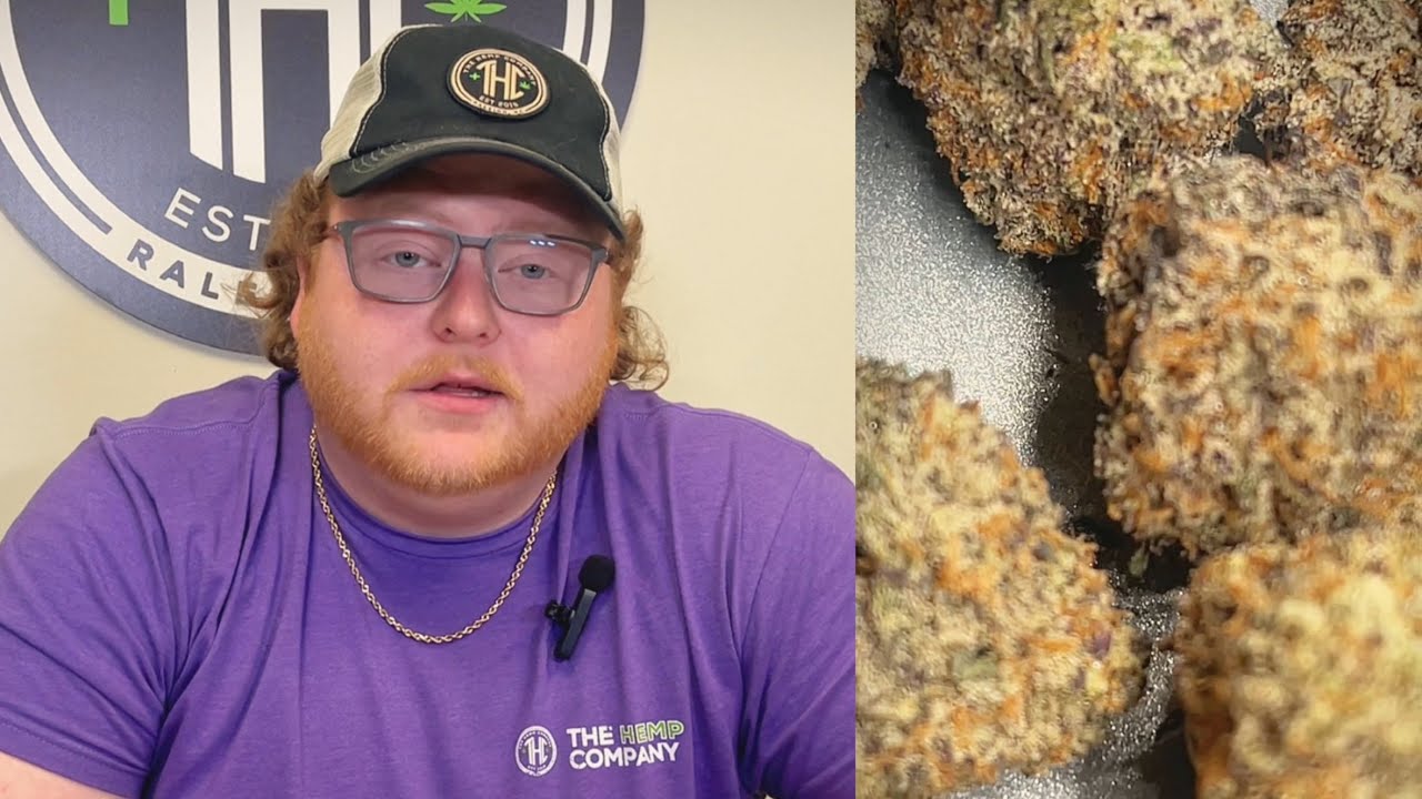 Black Truffle Strain Breakdown: Earthy Delight or Hypnotic Intoxication?