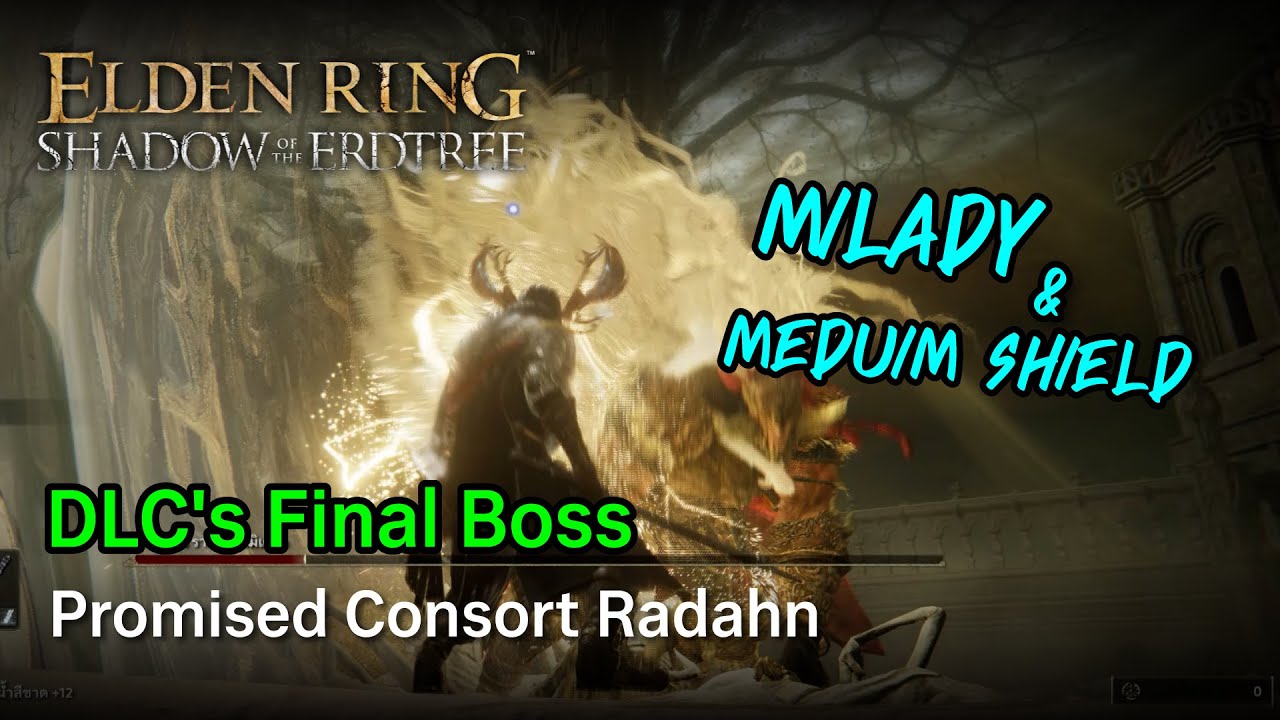 Elden Ring DLC Promised Consort Radahn Milady & Meduim Shield Parry