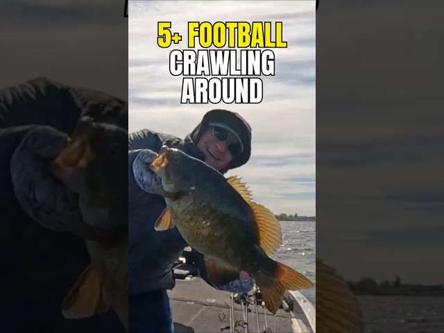 5+ Pre-Spawn Football on the 2.8 🎣