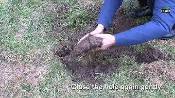 ECHO instruction 12: Site cleanup