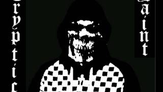 Cryptic Saint Promo Vid