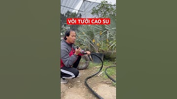 Vòi tưới cao su bạn nên biết #bonsaichannel #voituoicaosu