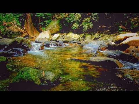เสียงน้ำตก เสียงน้ำไหล เสียงธรรมชาติสำหรับพักผ่อนทำสมาธิ-Waterfall Nature Sound/Water Sound/Relaxing