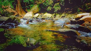 เสียงน้ำตก เสียงน้ำไหล เสียงธรรมชาติสำหรับพักผ่อนทำสมาธิ-Waterfall Nature Sound/Water Sound/Relaxing