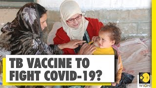 Coronavirus Outbreak: TB vaccine to protect from COVID-19?
