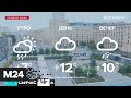 Метеорологи обещают потепление на следующей неделе - Москва 24