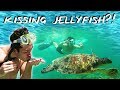 Moalboal Sardine Run & Swimming with Turtles! - Philippines Travel Vlog