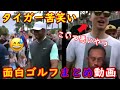 【面白ゴルフまとめ】タイガー・ウッズを痛烈にいじるギャラリーが着ていたTシャツとは!?その他、笑えるゴルフ動画満載パート2