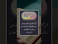 Ghalat Fatwa Dena Aur Us Ka Gunah | Deen Mein Ghalat Rehnumai | Hadees Mubarak | #apnamuqam