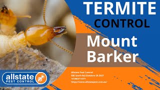 Termite Control Newton
