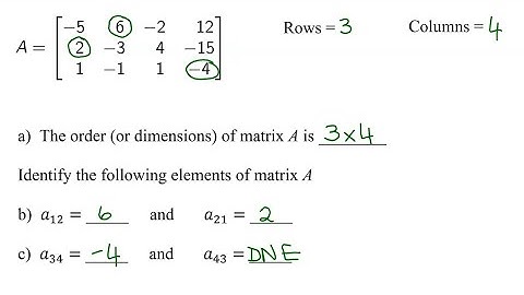Find Order (or Dimensions) of a Matrix & Identify 4 Elements of the Matrix