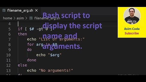 Bash script to display the script name and arguments