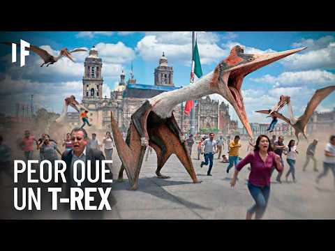 ¿Qué pasaría si el animal volador más grande de la historia existiera HOY?