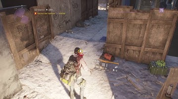 The Division - Going Rogue