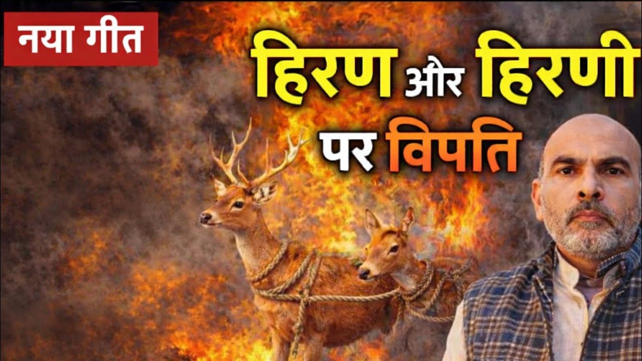 हिरण और हिरणी पर बिपत्ती💯 #song #fullvideo #trending #puranehindigeet 