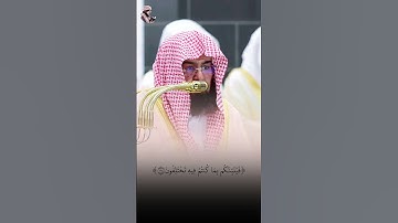قبس من تلاوة صلاة التراويح ليلة 10 رمضان 1446هـ - الشيخ عبد الرحمن السديس