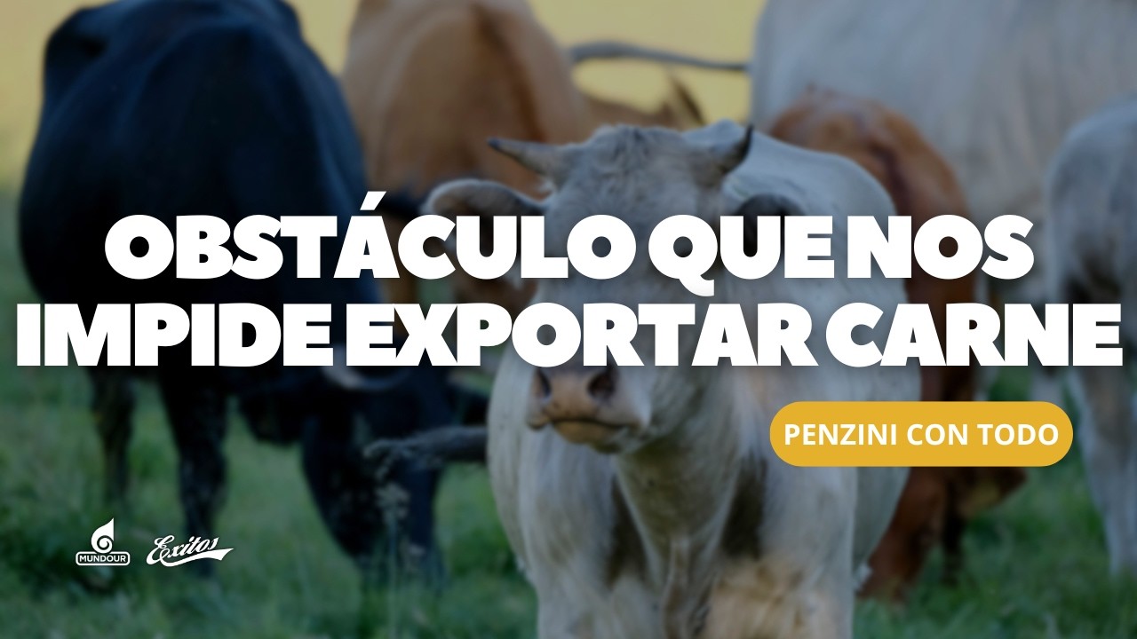 Balance del sector ganadero en el país