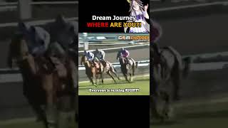Dream Journey Where are YOU!