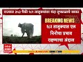 Maharashtra Draught : खरीप हंगामावर एल निनोच्या धोक्याचे सावट, १८१ तालुक्यांमध्ये अवर्षणाचं सावट..