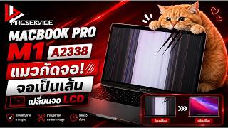 MacBook Pro M1 แมวกัดจอ จอแตก เปลี่ยน LCD ใหม่กลับมาเหมือนเดิม #macbookprom1 #bbmacservice