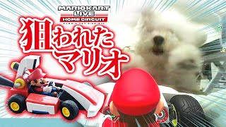 MARIO HUNTER! マリオを犬から守れ！Mario Kart Live: PROTECT MARIO from DOG!【マリオカートホームサーキット】