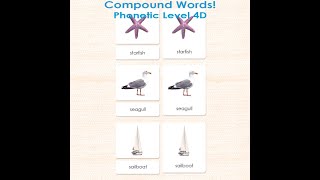 Phonetic 3-Part Reading Cards with Compound Words