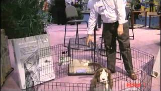 iCrate Double Door Folding Dog Crates by Midwest iCrate Double Door Folding Dog Crates by Midwest - Designed completely around the safety, security and comfort of your dog. Buy