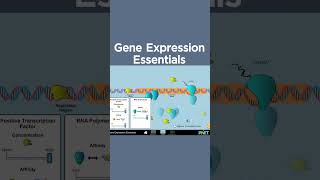 Free Highly Engaging, Interactive #Biology 🏫📚🐀🐖 Simulations #PhETsims #science #education #stem