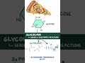 Clinical Cuts: Glycolysis