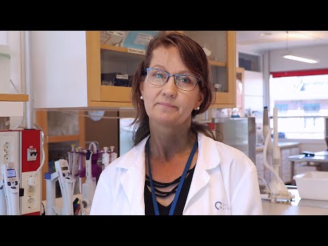 Video: Den Immunmodulerende Rollen Til Karbonmonoksid Under Transplantasjon