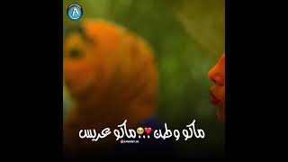 ماكو وطن ماكو عريس براء الزبيدي| مسلسل ضربة زاويه |مستر  ميراج