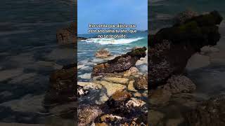 Que no se te olvide ❤️‍🩹 #alejandroat #frases #frase #playa #tranquilidad