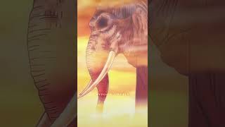 One Piece - Did It First Instrumental Slowed Edit