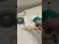 バズってる掃除のホンネ #shorts #一人暮らし