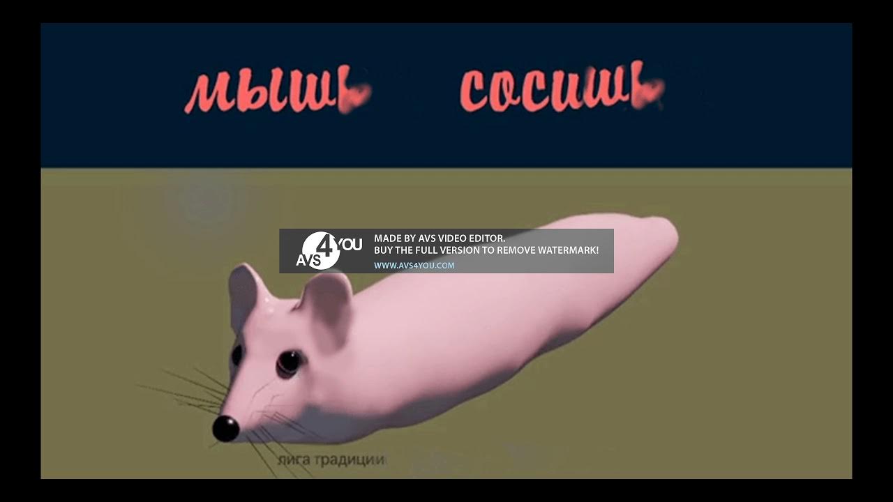 страшная мышка сосиска. туч туч мышка сосиска туч туч мышка сосиска. включи мышка сосиска туч. включи мышка сосиска туч. мыша сосиска.