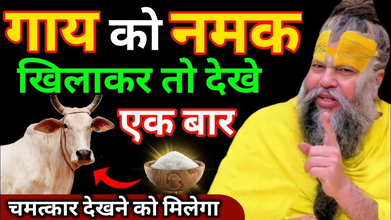 गाय को खिलाएं नमक और देखें चमत्कार ! अद्भुत चमत्कार | Upay Of Salt To Cow ! Premanand Maharaj