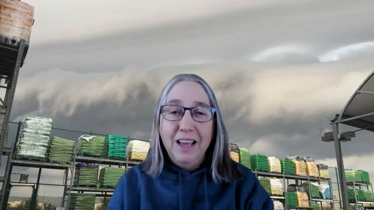 Stock-out Costs and Holding Costs - BUSN101 Key Terms